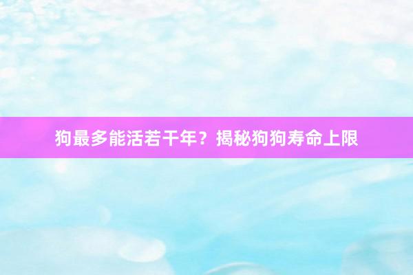 狗最多能活若干年？揭秘狗狗寿命上限